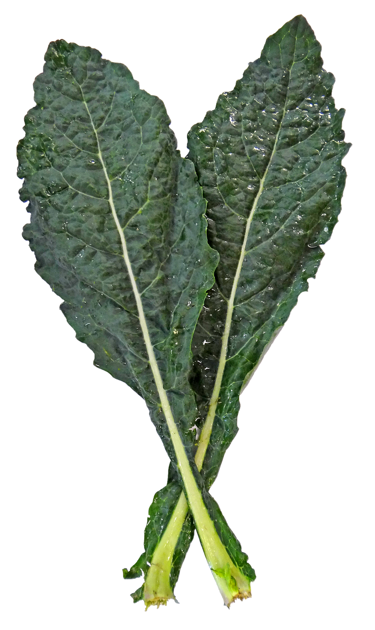 Image - kale lacinato lacinato kale