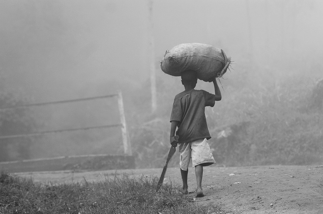 Image - farmer africa farmland village