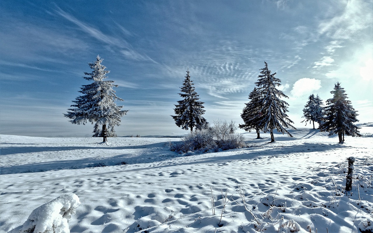 Image - winters landscape snow nature