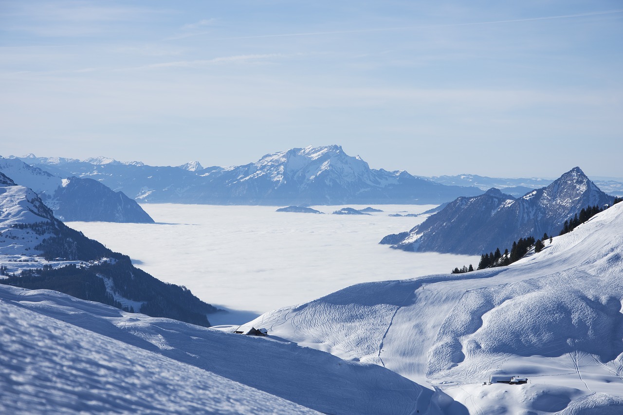 Image - sea of fog winter nature fog