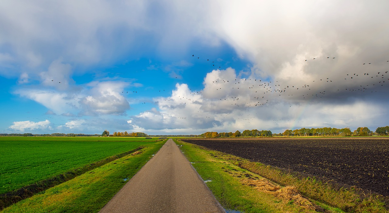 Image - autumn fall sky clouds landscape