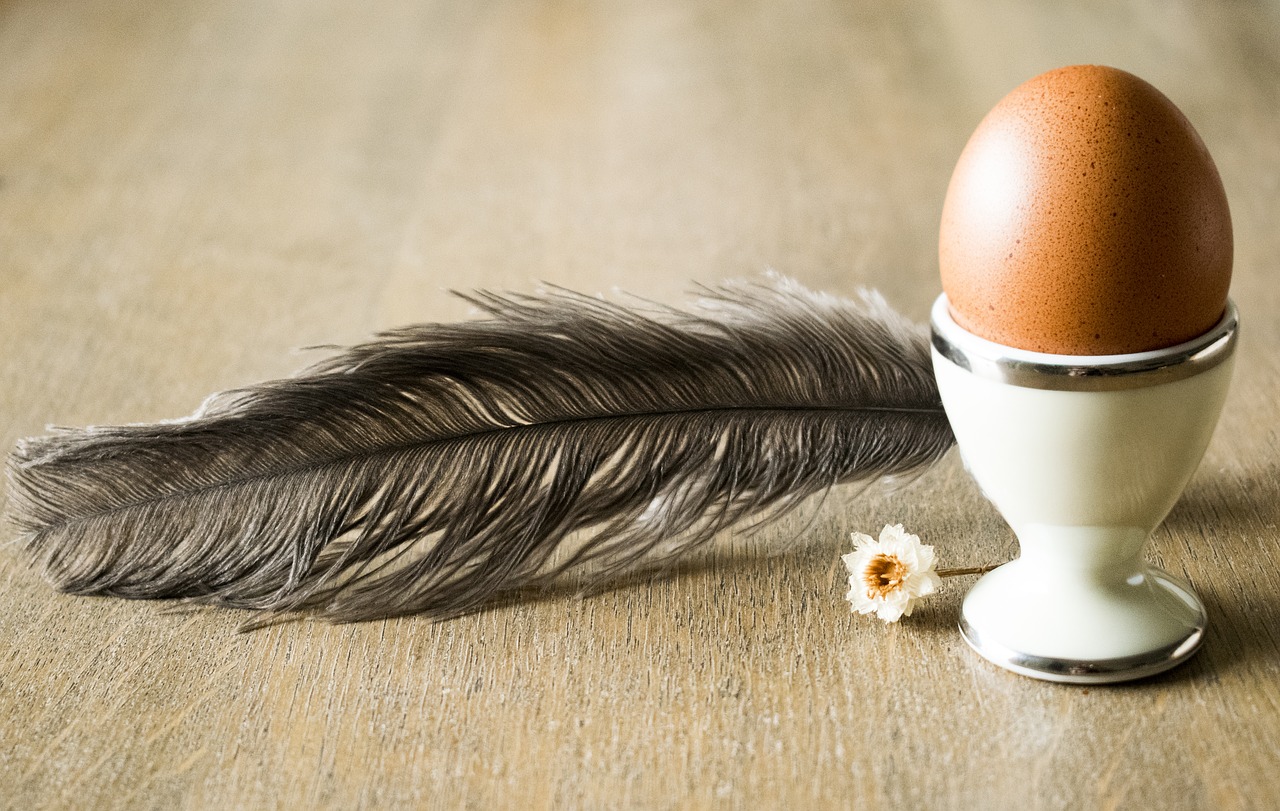 Image - egg pen chamomile tomorrow