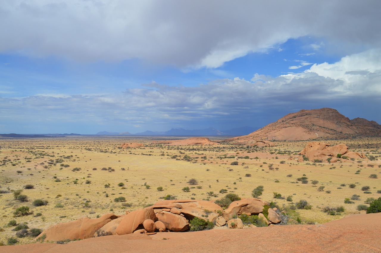 Image - africa steppe savannah nature