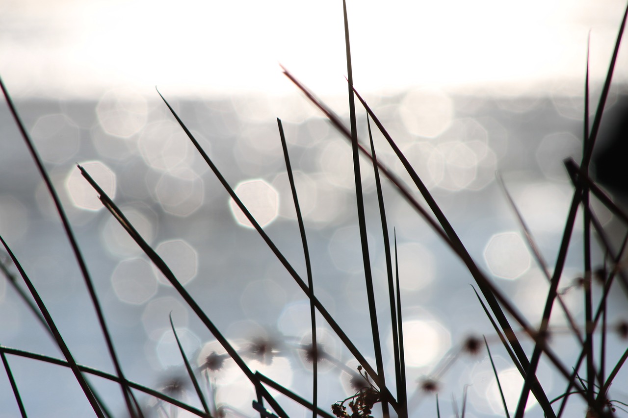 Image - bokeh lake sun frozen cold ice