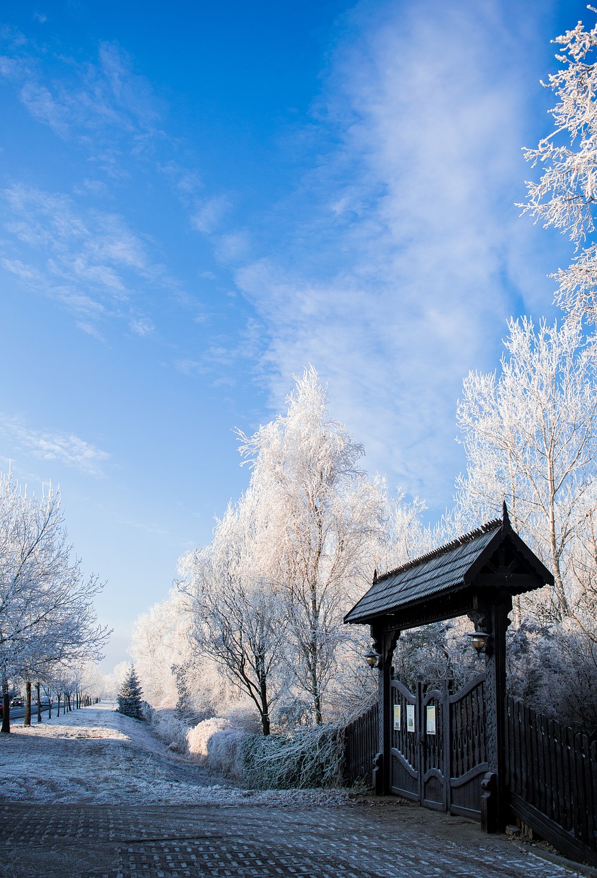 Image - arboretum winter gate garden plant