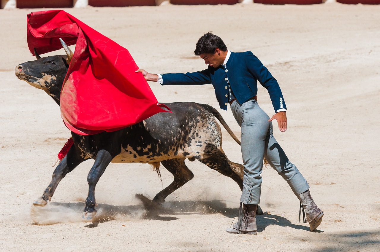 Image - bolsin bullfight bull arena