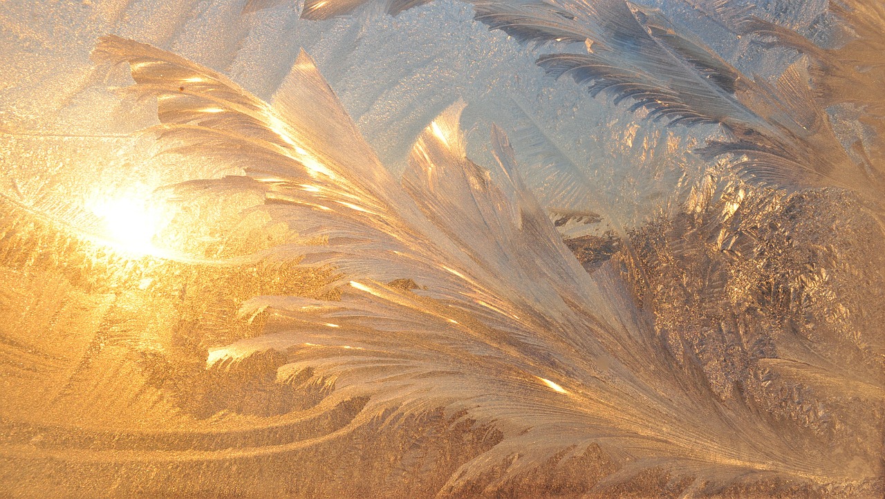 Image - winter patterns freezes design