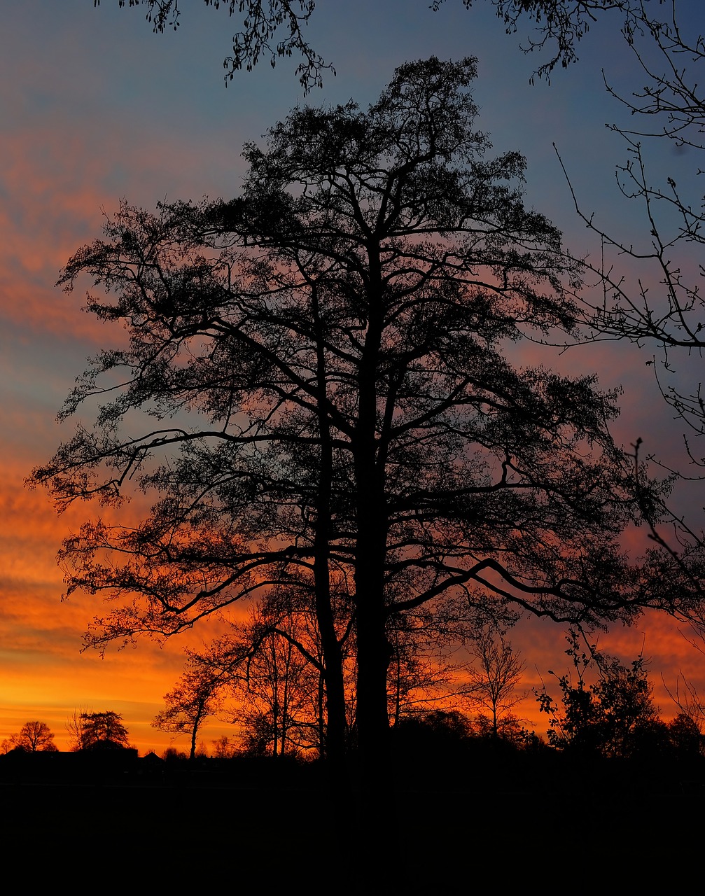 Image - sunrise winter morgenstimmung