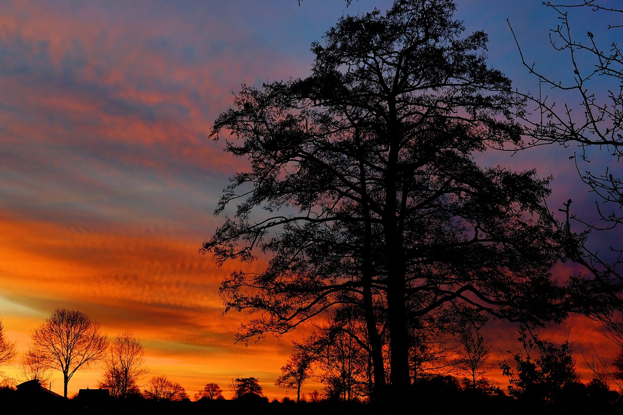 Image - sunrise winter morgenstimmung