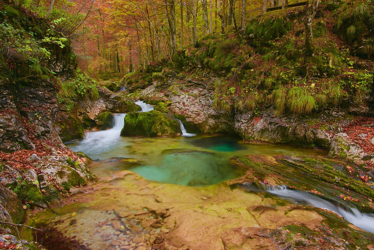 Image - watercourse autumn water colors