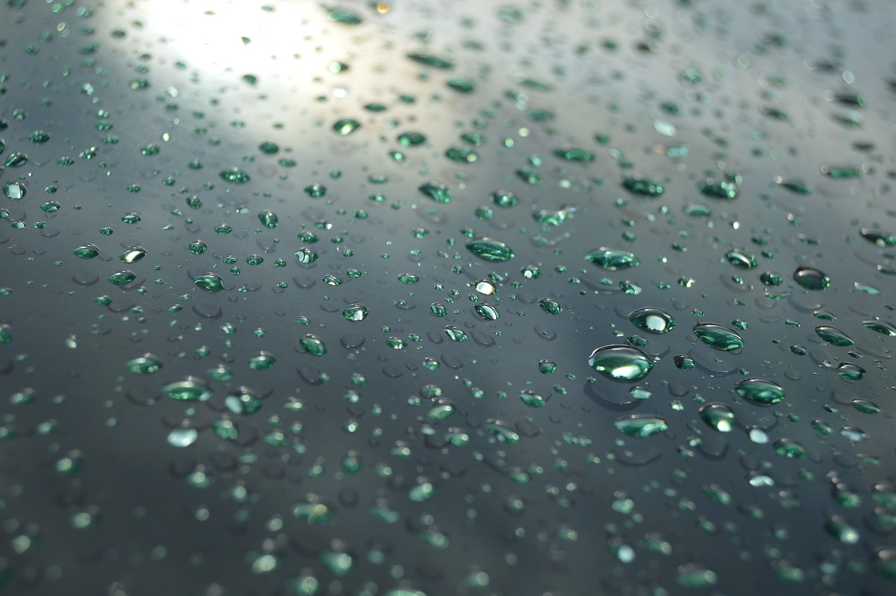 Image - drops rain rain drops water