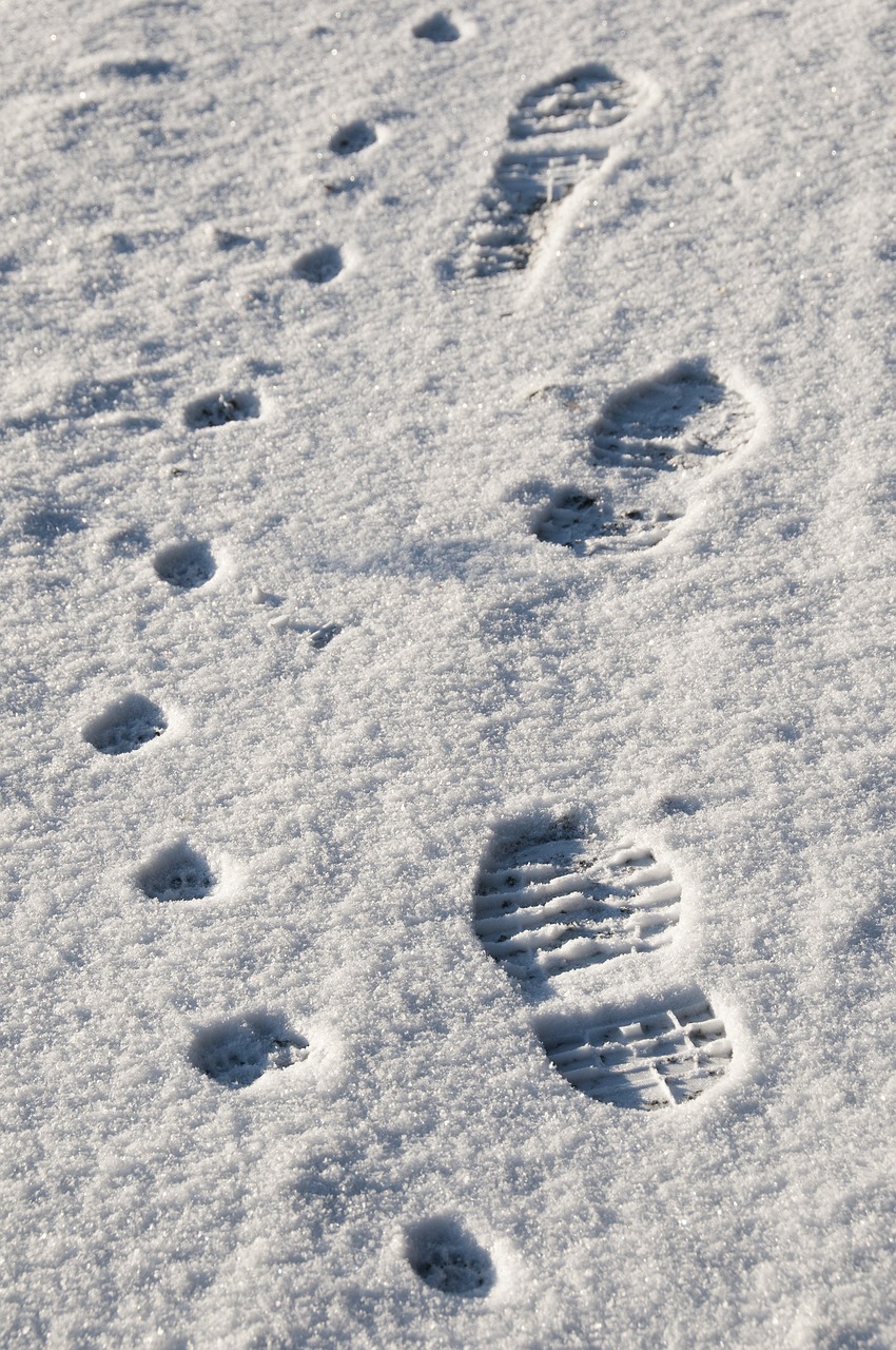 Image - footprint snow impression winter