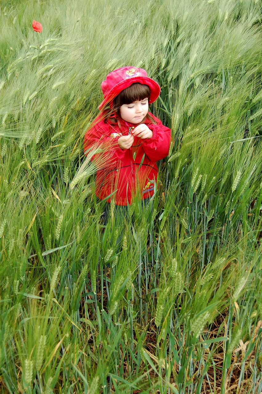 Image - child red meadow