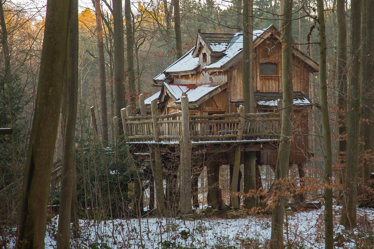 Image - vacation treehouse tree hut live