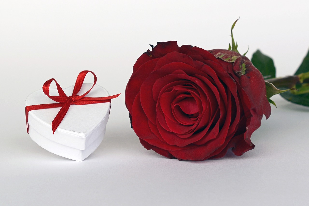 Image - rose heart gift loop surprise