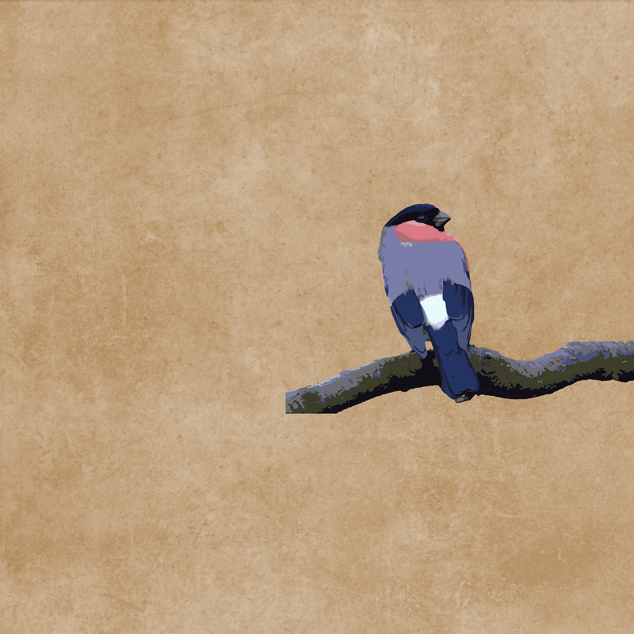 Image - bird blue plumage branch drawing