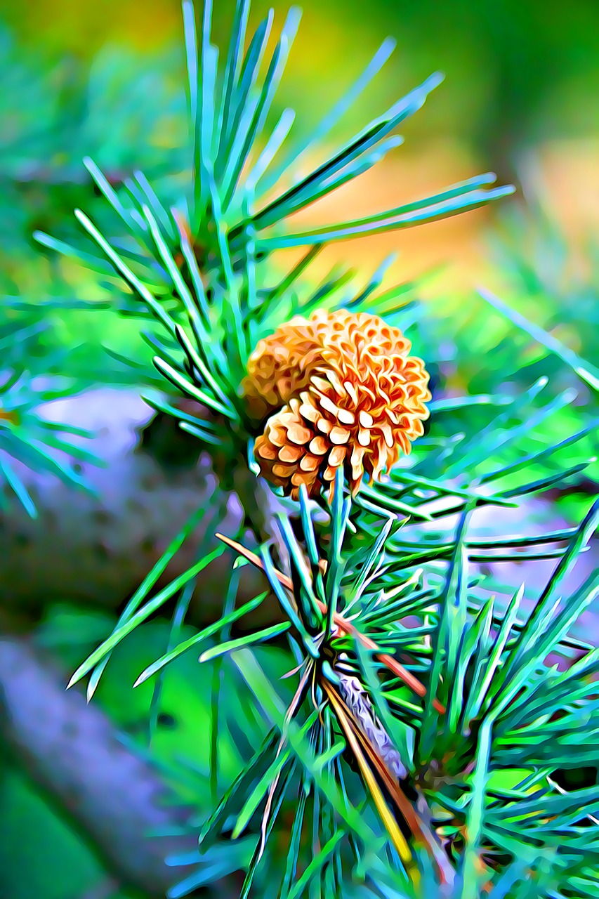 Image - digital graphics pine cone green