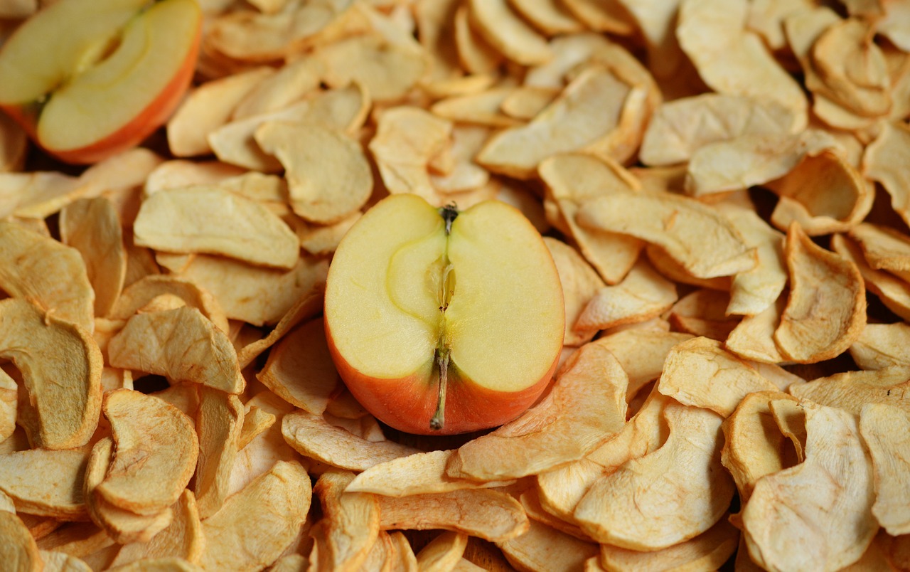 Image - apple dried apples dried fruit