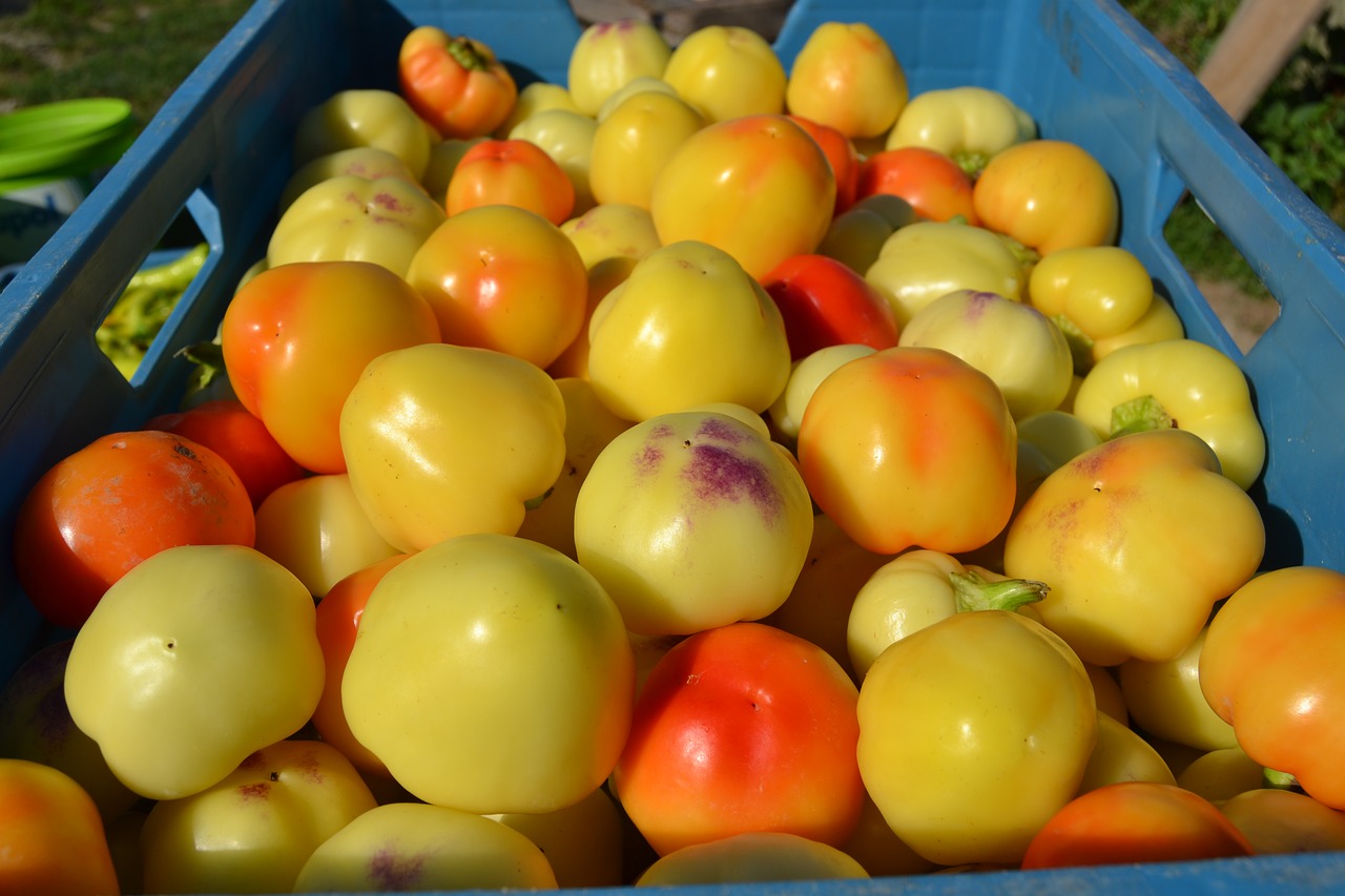 Image - alma paprika garden fruits