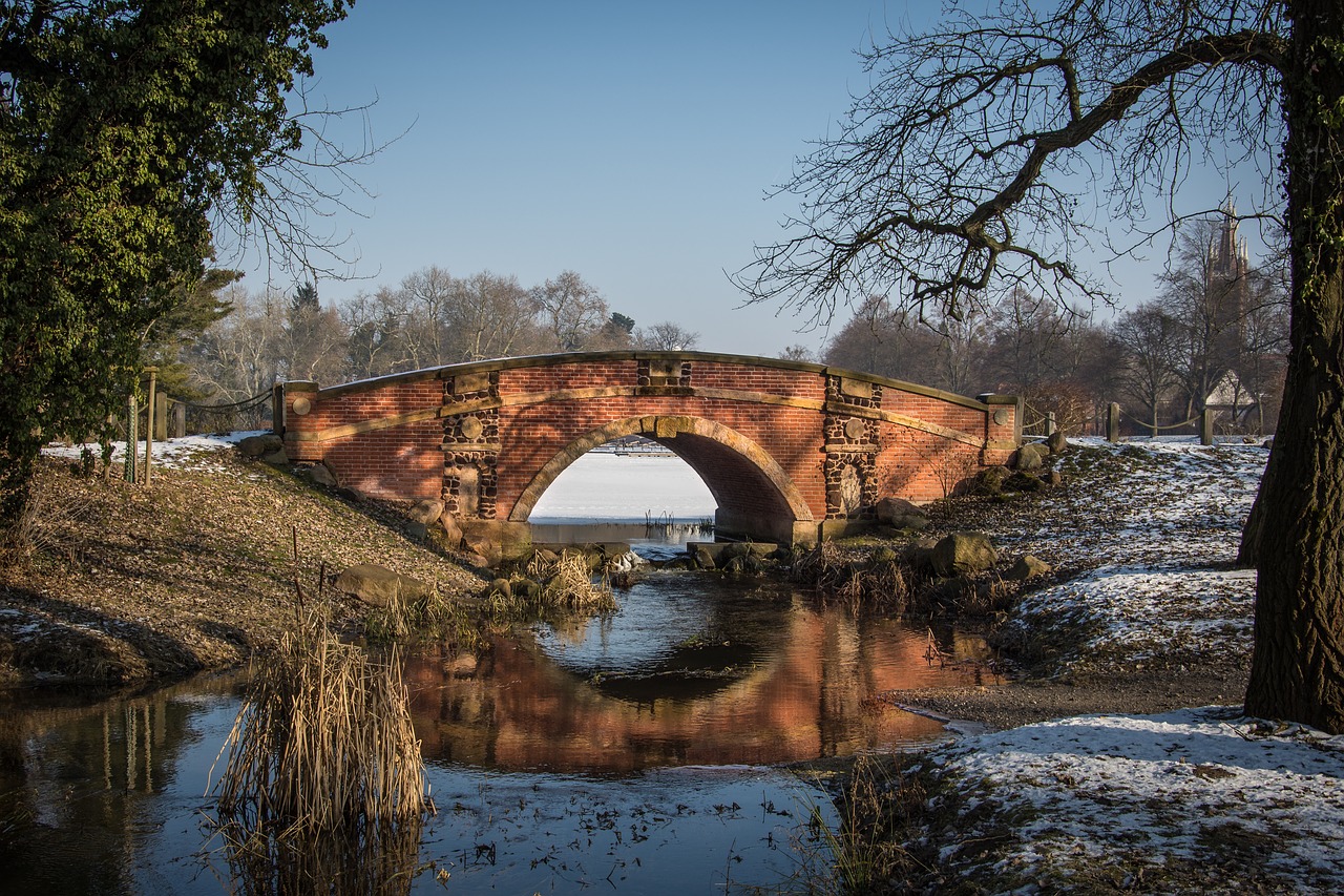 Image - winter park park wörlitz cold snow