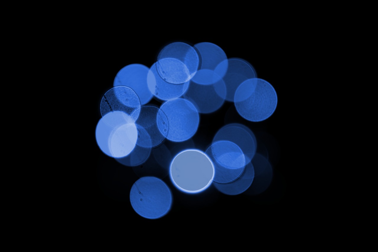 Image - blue black bokeh lights blur