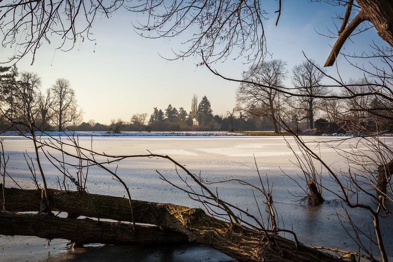 Image - winter park park wörlitz cold snow