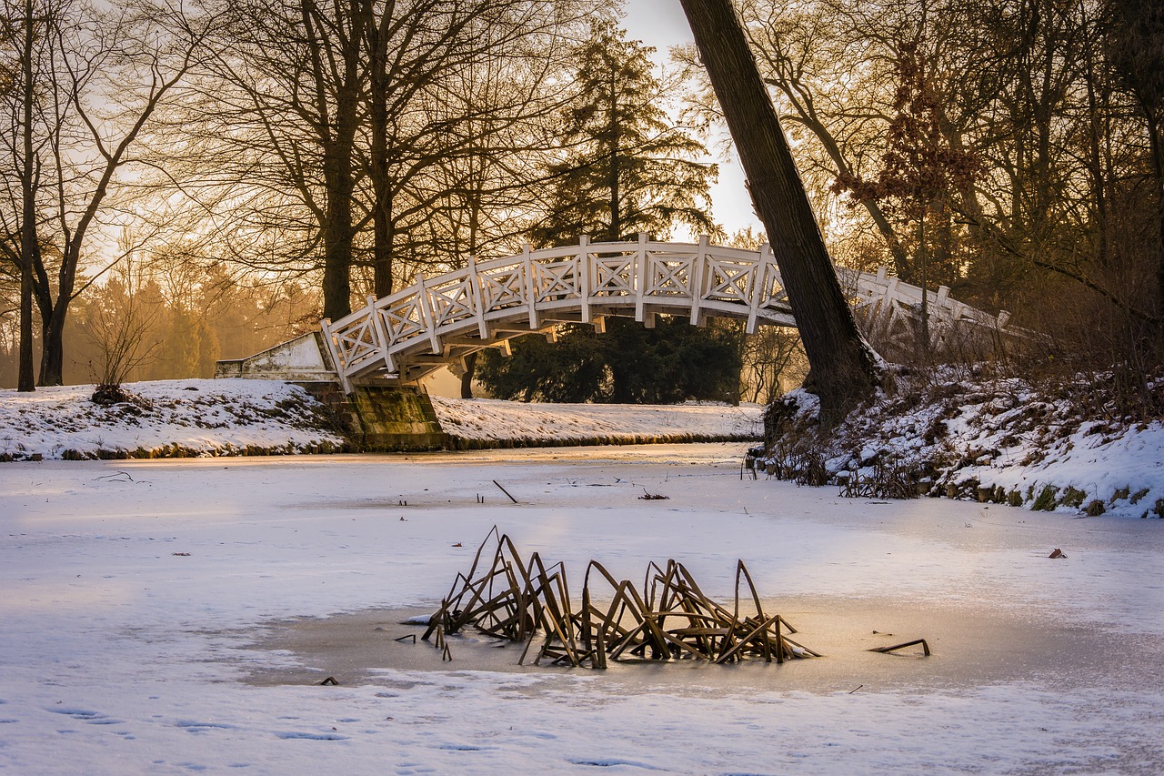 Image - winter park park wörlitz cold snow