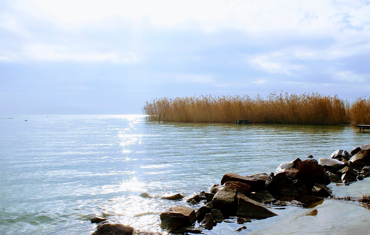 Image - lake balaton water surface lake