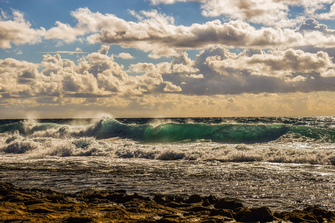 Image - wave foam spray sea water nature