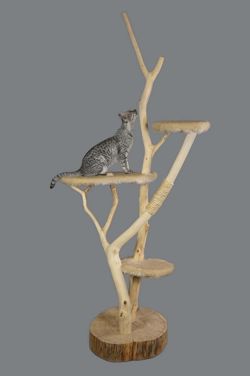 Image - cat furniture cat scratching post