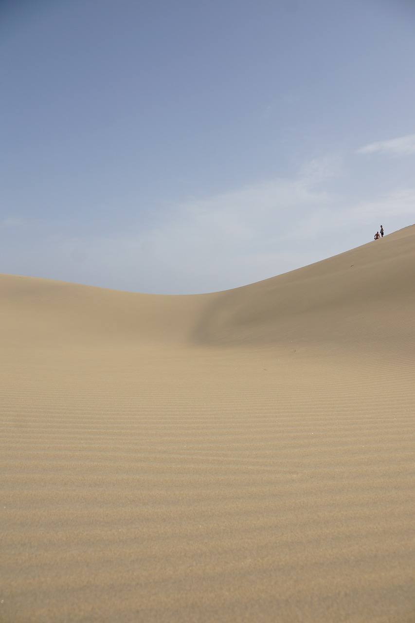 Image - desert gran canaria beach