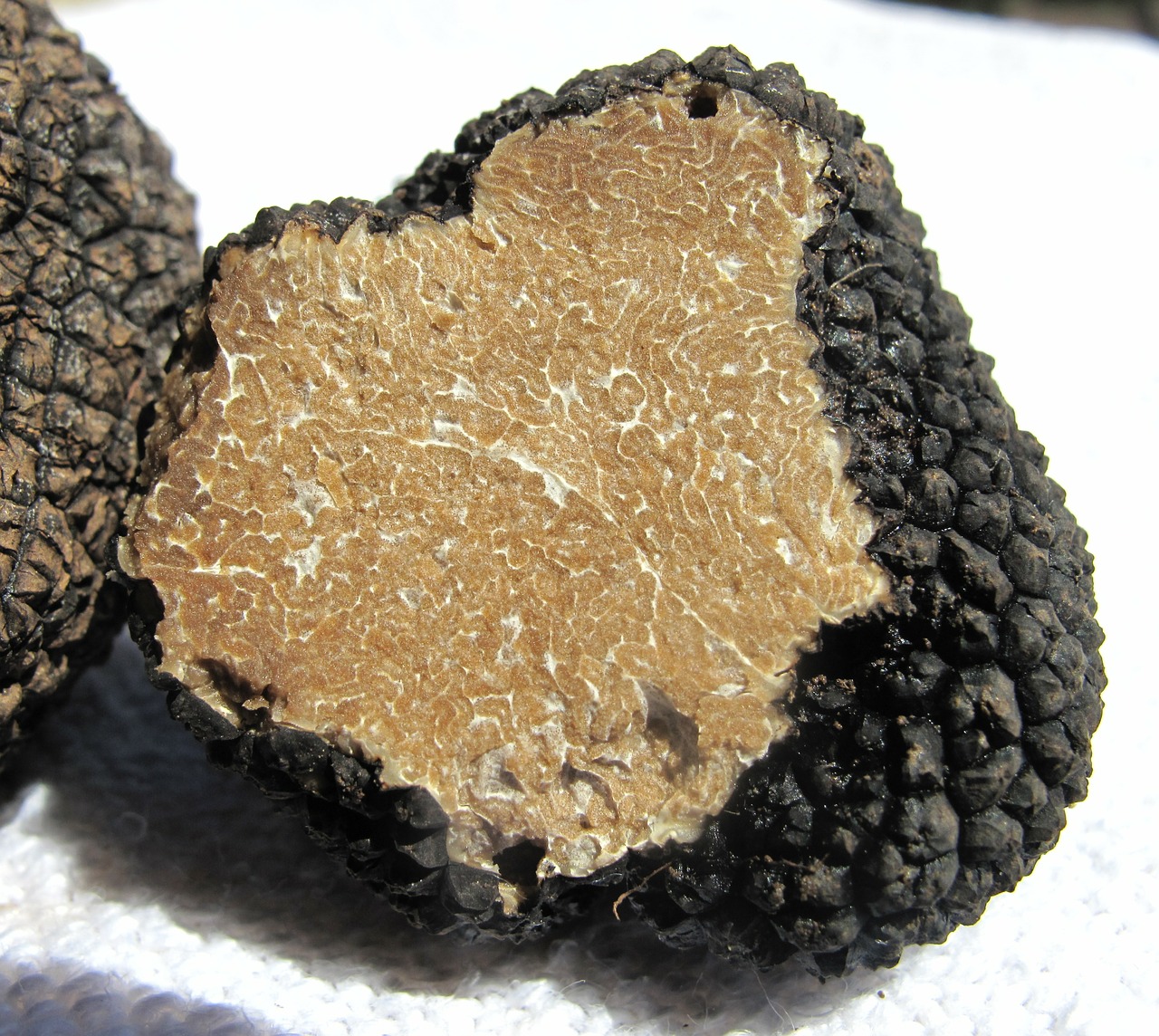 Image - truffle real truffle mushroom