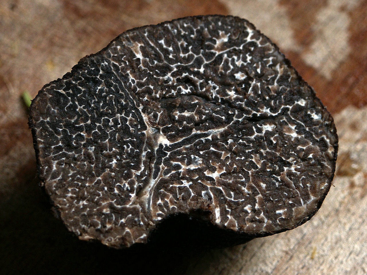 Image - winter truffle tuber brumale truffle