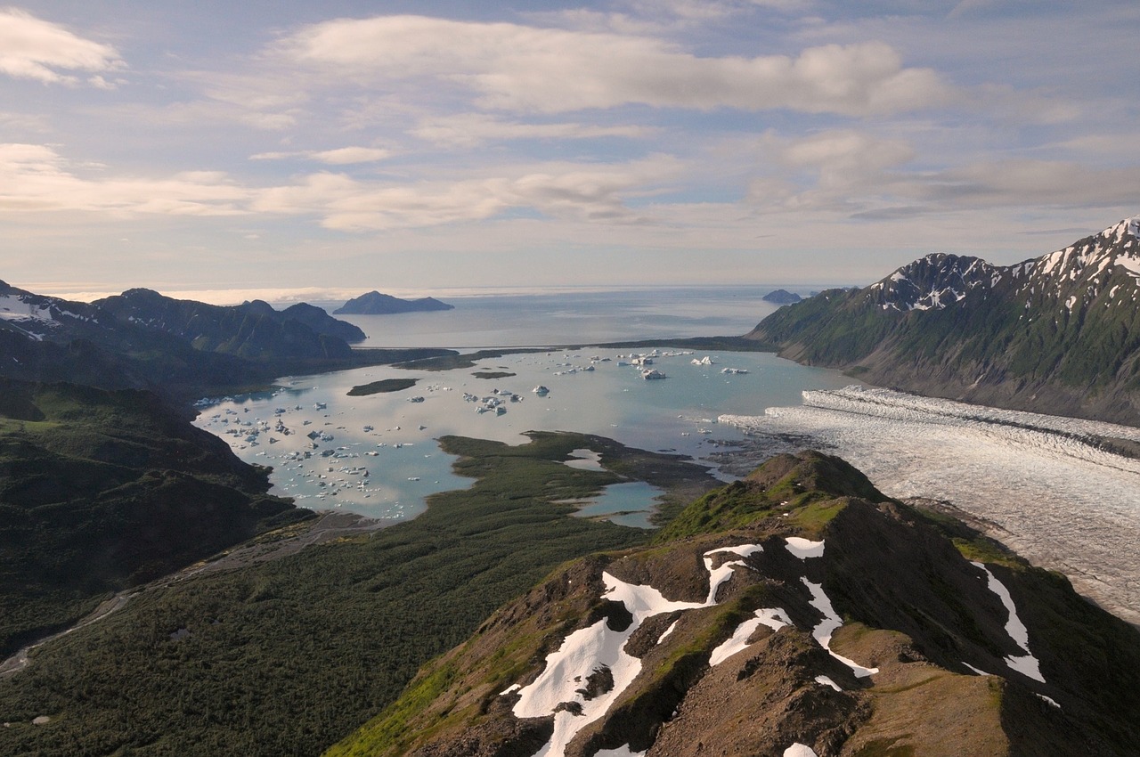 Image - bear glacier landscape ocean ice