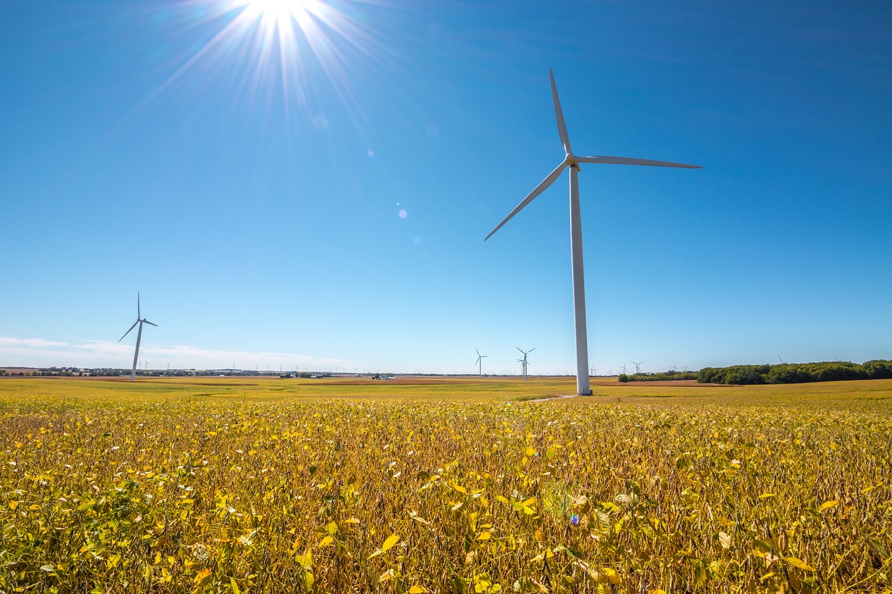 Image - wind turbine windmill harvest beans