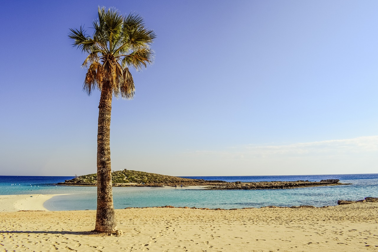 Image - cyprus ayia napa nissi beach palm