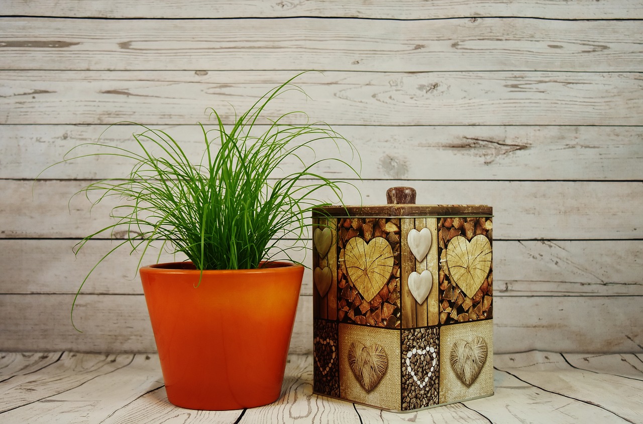 Image - flowerpot grass plant box storage