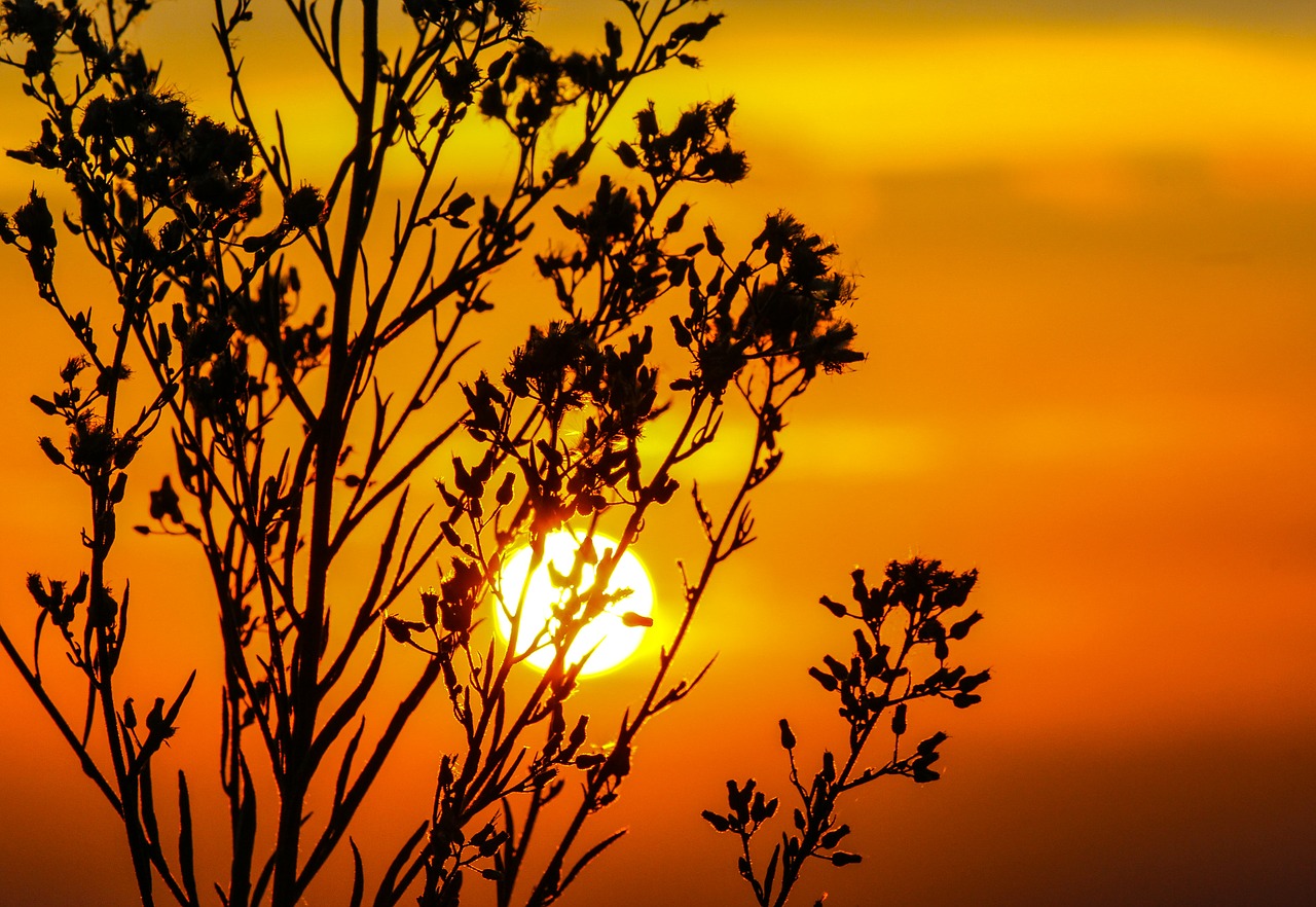 Image - sunset sky glow orange dusk