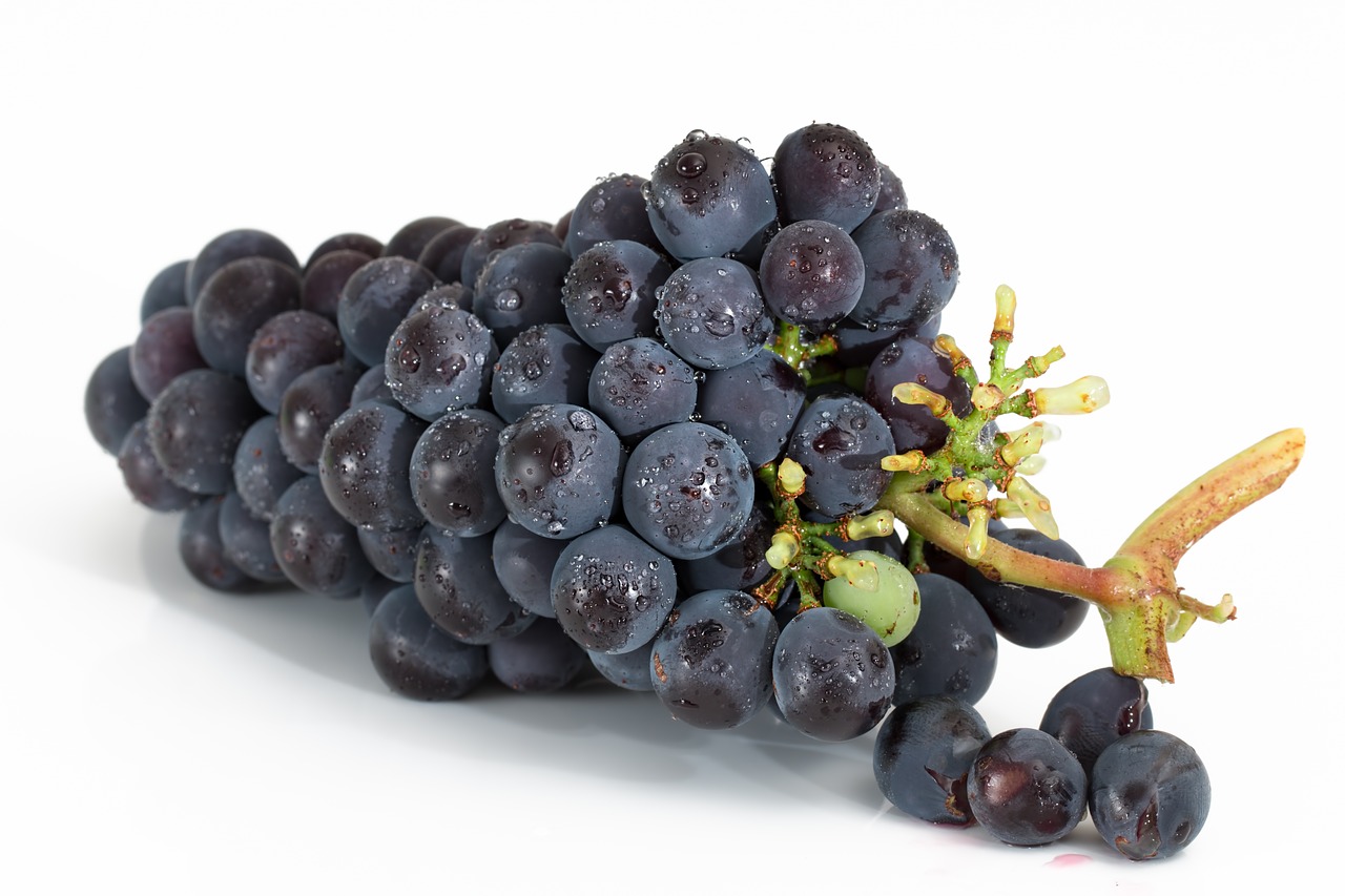 Image - grapes bunch fruit viticulture