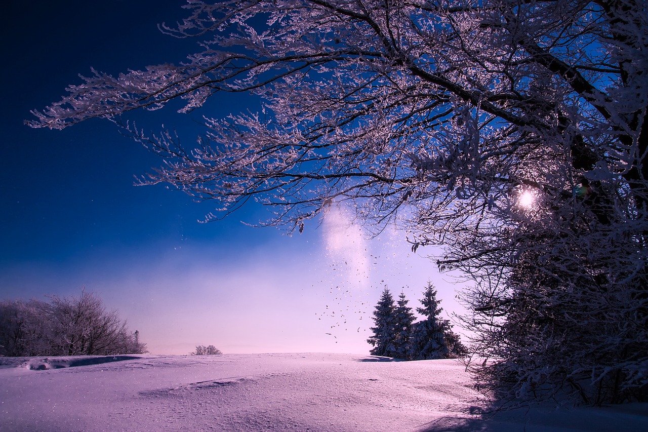 Image - winter snow sunset dusk sky