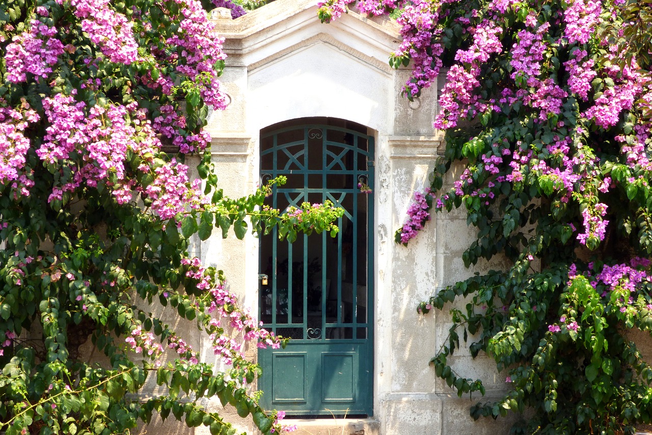 Image - door input flowers house facade