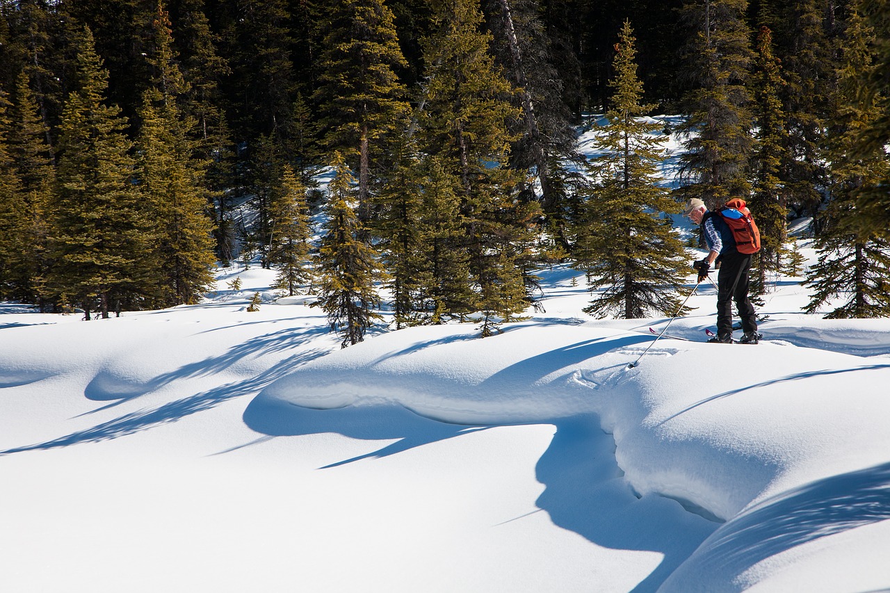 Image - outdoors nature ski winter sport