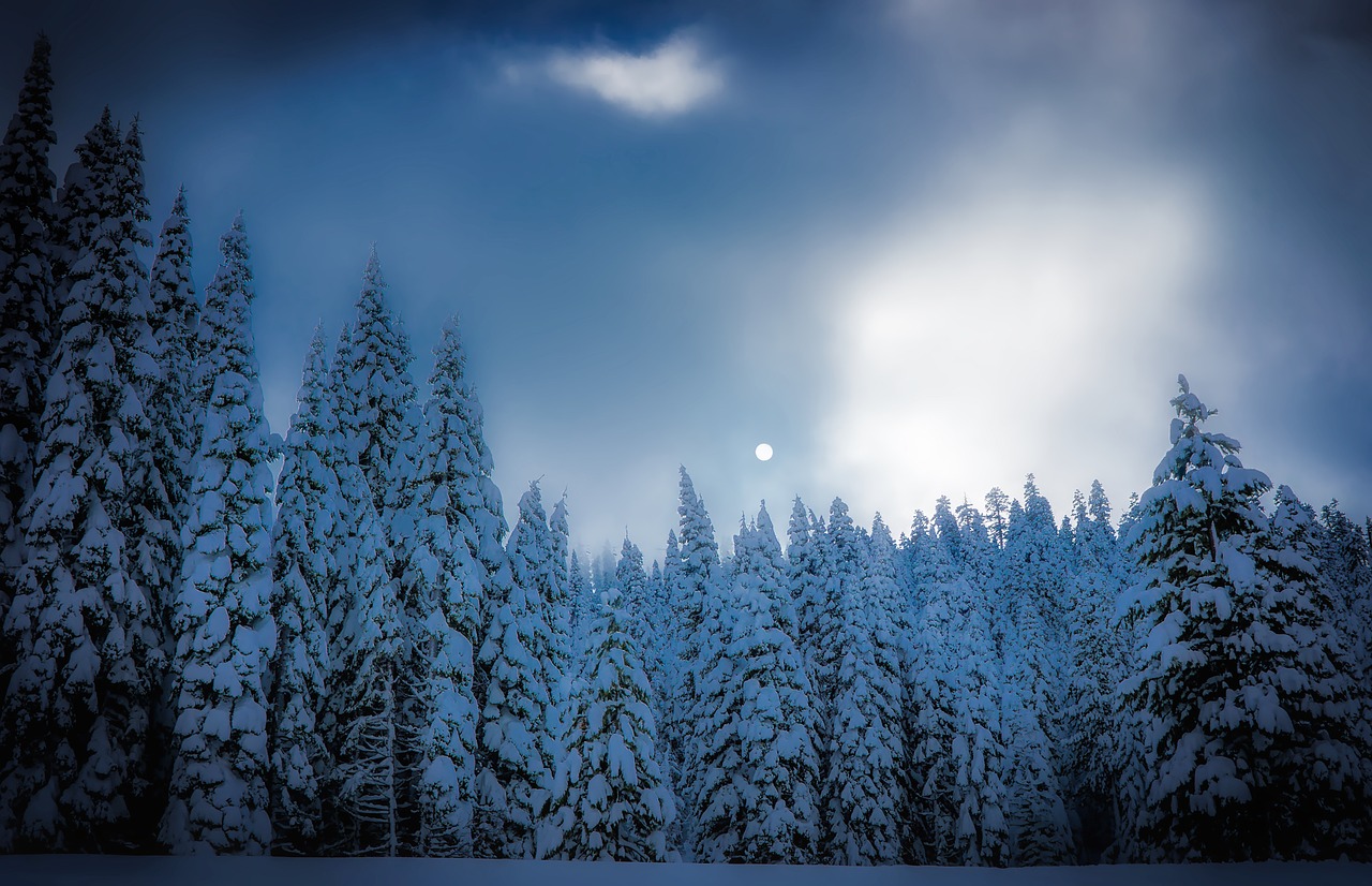 Image - squaw valley california snow winter