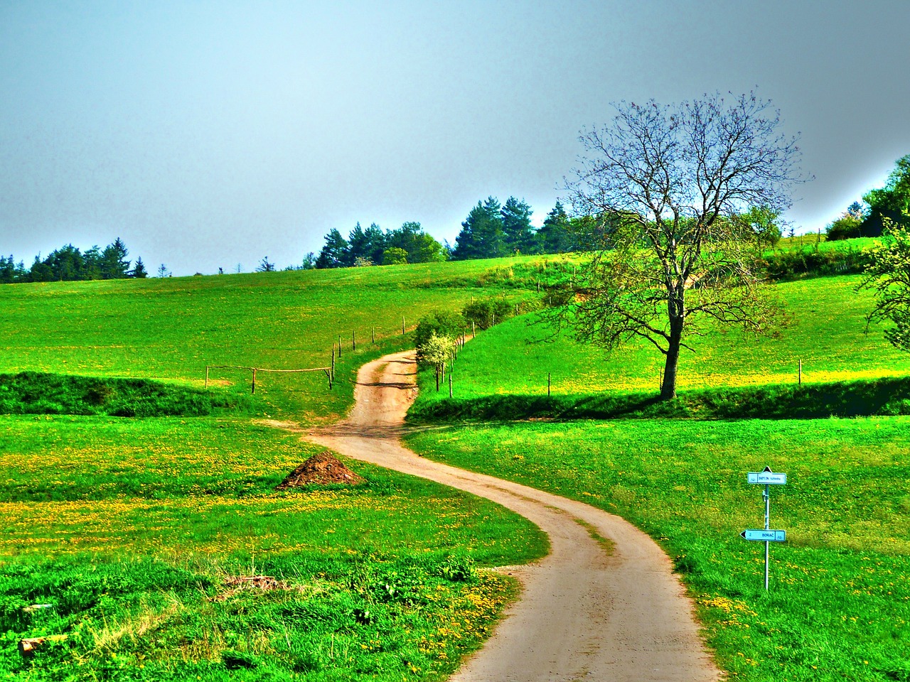 Image - landscape nature background meadows