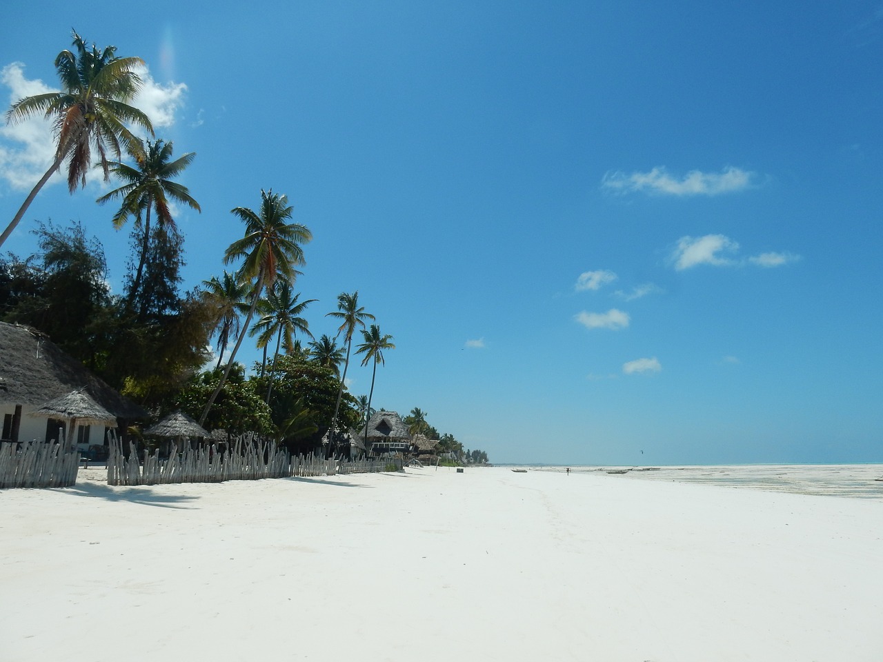 Image - beach palm trees sea holiday sun