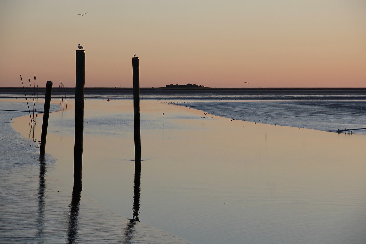 Image - north sea husum halligen watts