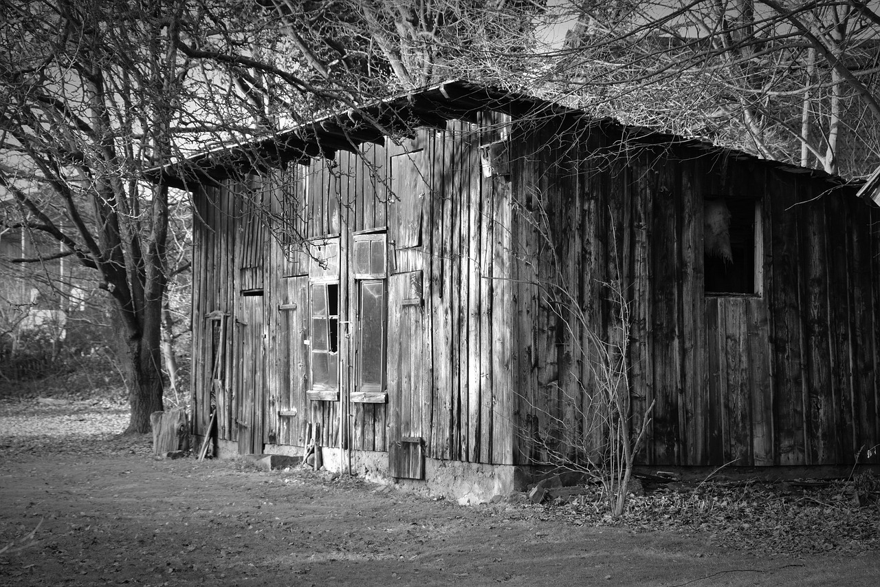 Image - wood shed scale old lapsed