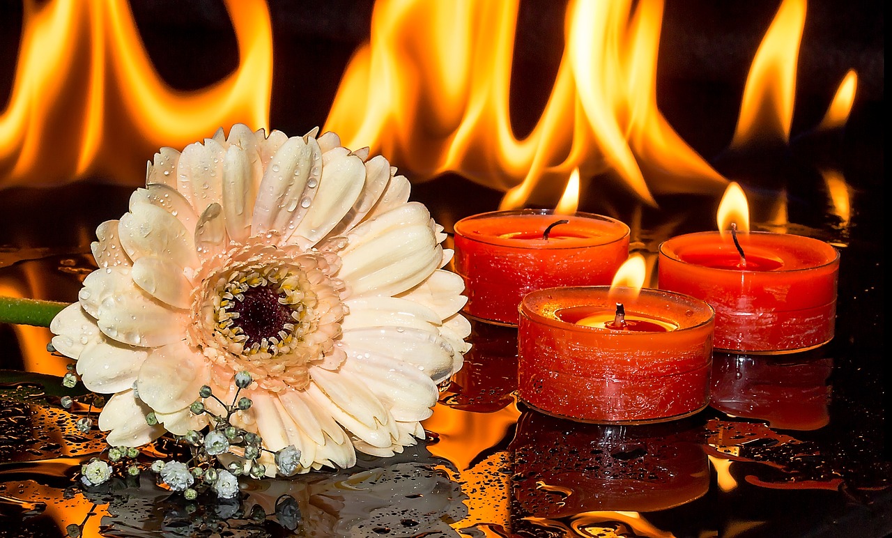 Image - gerbera gypsophila candles