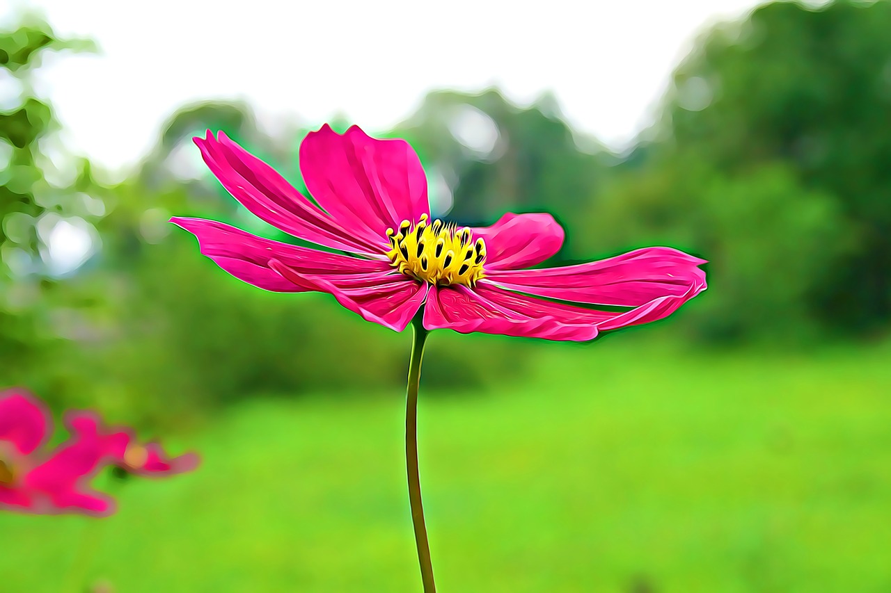 Image - digital graphics flower garden