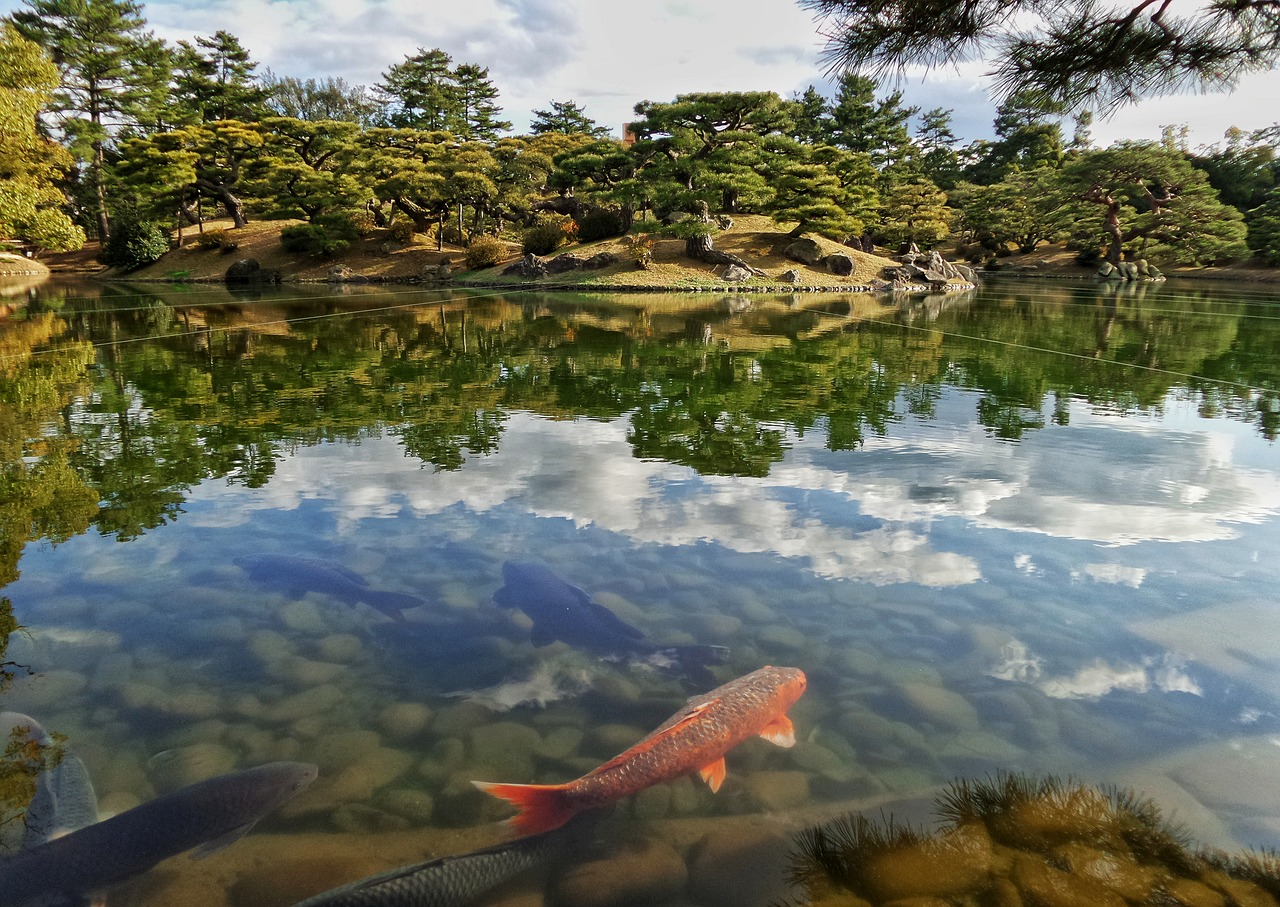 Image - japan japanese garden pond niwa